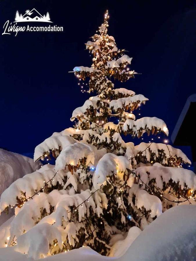 Alpen Royal By Livigno Accomodation المظهر الخارجي الصورة